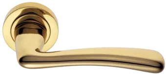 COCKATOO R2 OTL, ручка дверная, цвет - золото